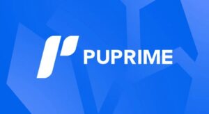 Read more about the article PU Prime: Get Your FXRebate Cashback Rates